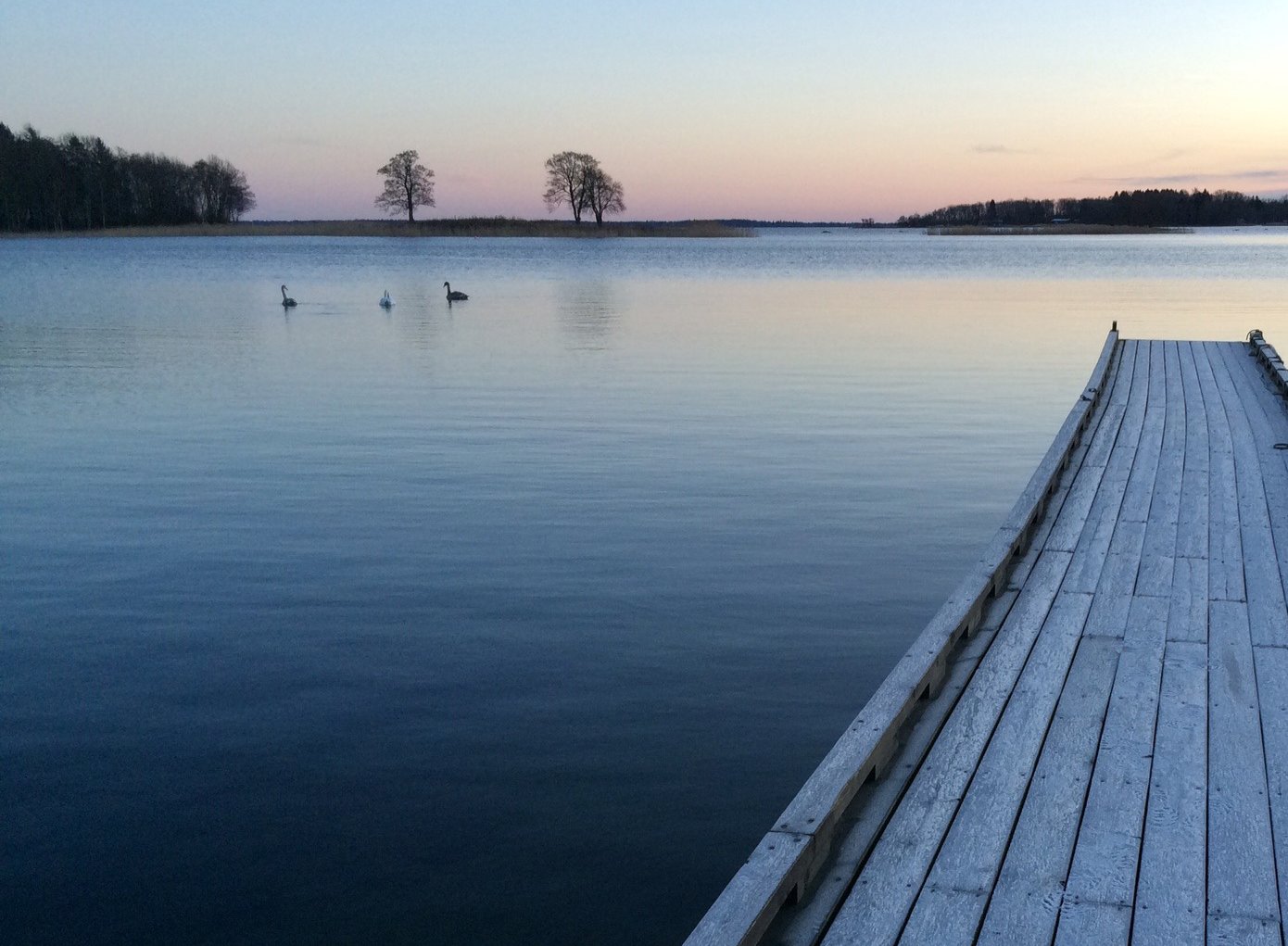 Frost, Blidö, 2014. ©Tomas Ehrnborg